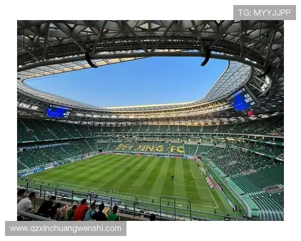 厦门足球明星盘点他们在绿茵场上的辉煌成就与影响力